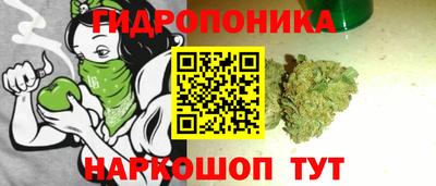 ешки Бийск