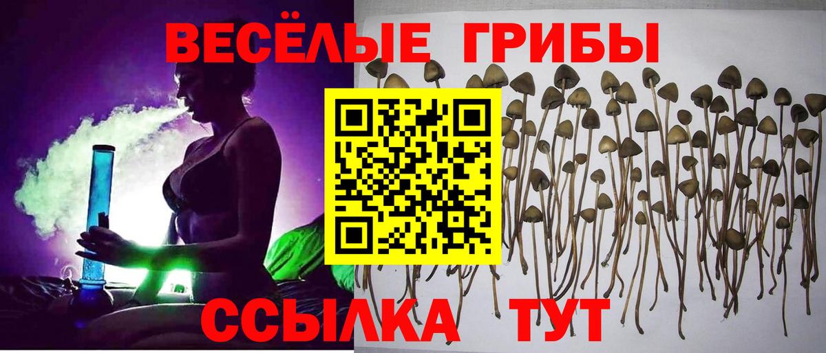 Галлюциногенные грибы прущие грибы  Вход с VPN  Псилоцибиновые грибы Magic Shrooms  Жуковский 