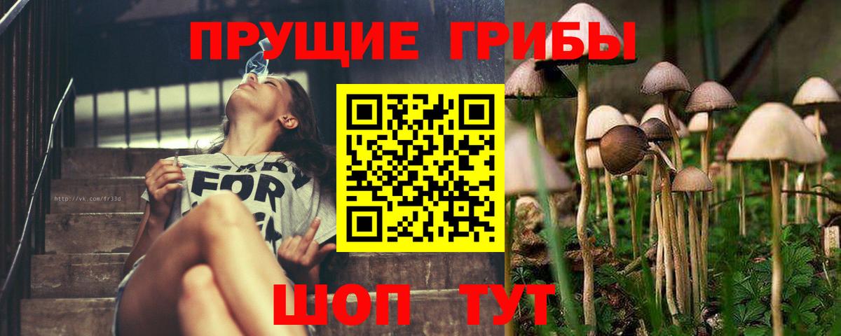 Галлюциногенные грибы мицелий Жуковский